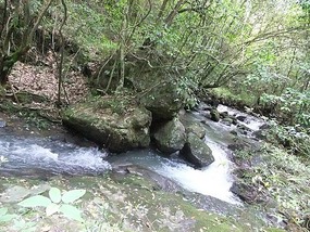 Qinglong Falls & Longchuang Canyon