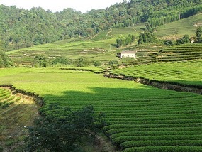 Qinglong Falls & Longchuang Canyon