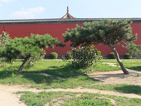 Imperial Palace & Snow Beer Tower
