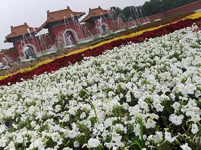 Beiling Park & Huang Taiji Tomb