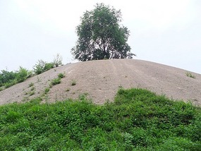 Beiling Park & Huang Taiji Tomb