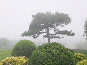 Dalians Xinghai Beach Area