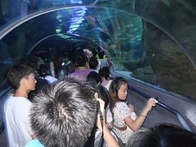 Dalians Xinghai Beach Area