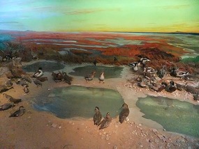 Dalians Xinghai Beach Area
