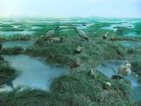 Dalians Xinghai Beach Area