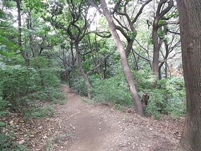 Jinjiangshan & Yalu River  Border