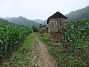 Koguryo Tomb & Border Adventures