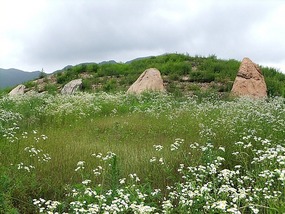 Koguryo Tomb & Border Adventures