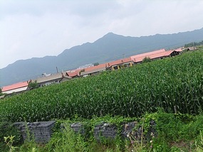 Koguryo Tomb & Border Adventures