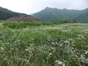 Koguryo Tomb & Border Adventures