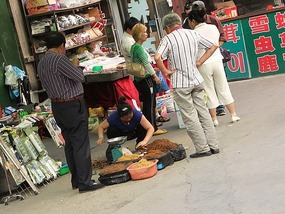 Wonderful Yanji City