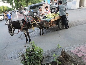 Wonderful Yanji City
