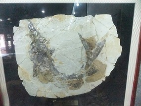 Xingcheng Ming Dynasty City