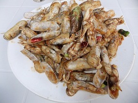 Xingcheng Beach