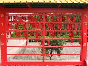 Relaxing In Anyang City