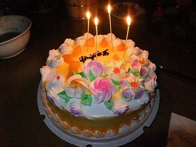 Happy 7th Noodle Birthday To Me