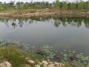 Behind My School Adventures