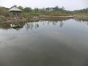 Behind My School Adventures