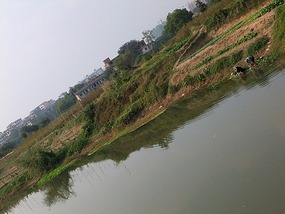 Behind My School Adventures