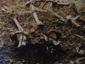 Shangrao Concentration Camp