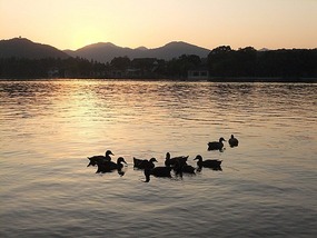 Hangzhou For JiangNi's Birthday