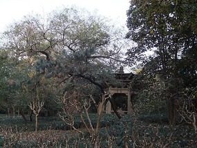 Hangzhou For JiangNi's Birthday