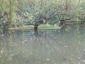 Hangzhou For JiangNi's Birthday