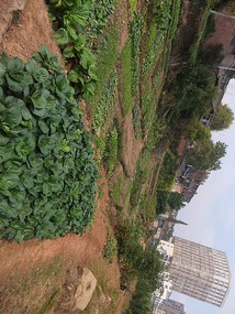 Shangrao County Adventure I