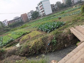 Shangrao County Adventure I