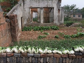 Shangrao County Adventure I