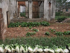 Shangrao County Adventure I