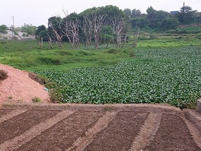 Shangrao County Adventure I
