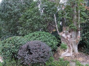 Long Tan Lake Park
