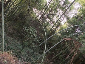 Long Tan Lake Park