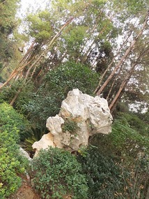 Long Tan Lake Park