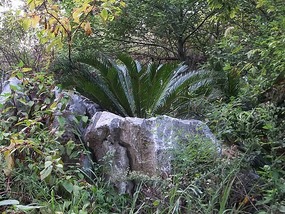 Long Tan Lake Park