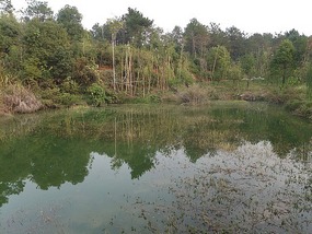 Long Tan Lake Park
