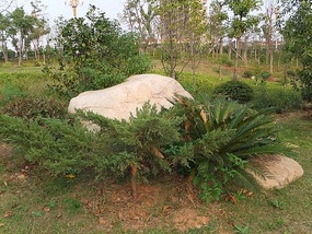 Long Tan Lake Park