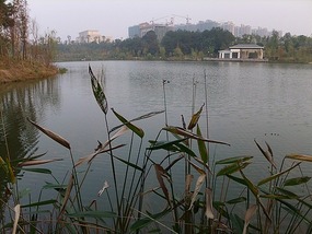 Long Tan Lake Park