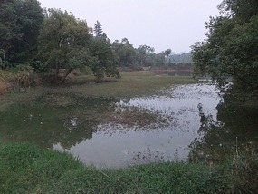 Long Tan Lake Park