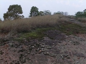 Long Tan Lake Park