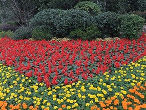 Long Tan Lake Park
