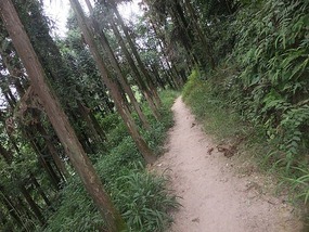 Forrest Mountain Park Adventures