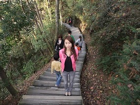 Forrest Mountain Park Adventures