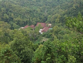 Forrest Mountain Park Adventures