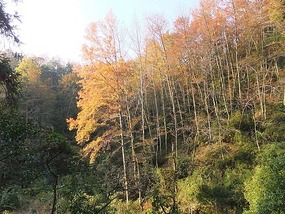 Forrest Mountain Park Adventures