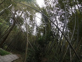Forrest Mountain Park Adventures
