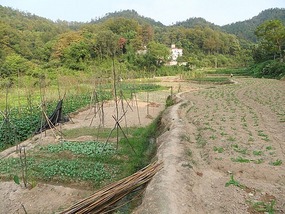 Dong Yue Mountain Temple