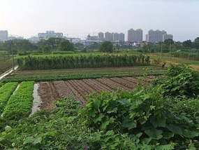 Dong Yue Mountain Temple
