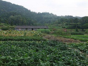 Dong Yue Mountain Temple
